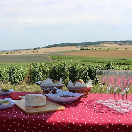 Oda ve Kahvaltı La Poterne L D'hotes A Épernay