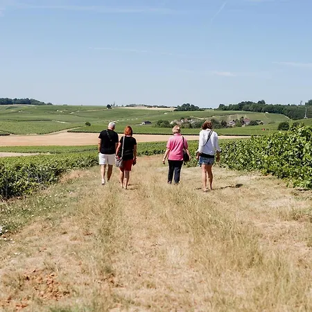 La Poterne L D'hotes A Oda ve Kahvaltı Épernay