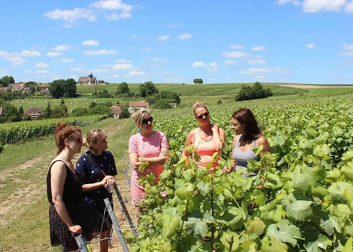 La Poterne L D'hotes A 4* Épernay