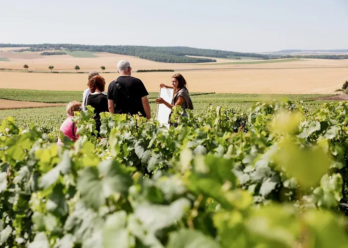 La Poterne L D'hotes A Bed & Breakfast 4*