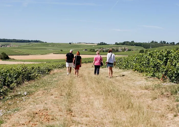 La Poterne L D'hotes A Frühstückspension Épernay